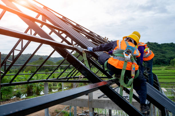 Best Best Roofing Contractors  in Brundidge, AL