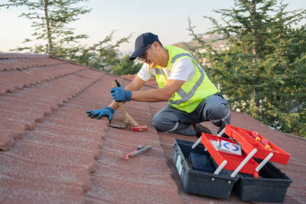 Best Roof Gutter Cleaning  in Brundidge, AL