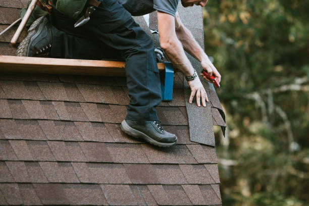 Best Storm Damage Roof Repair  in Brundidge, AL